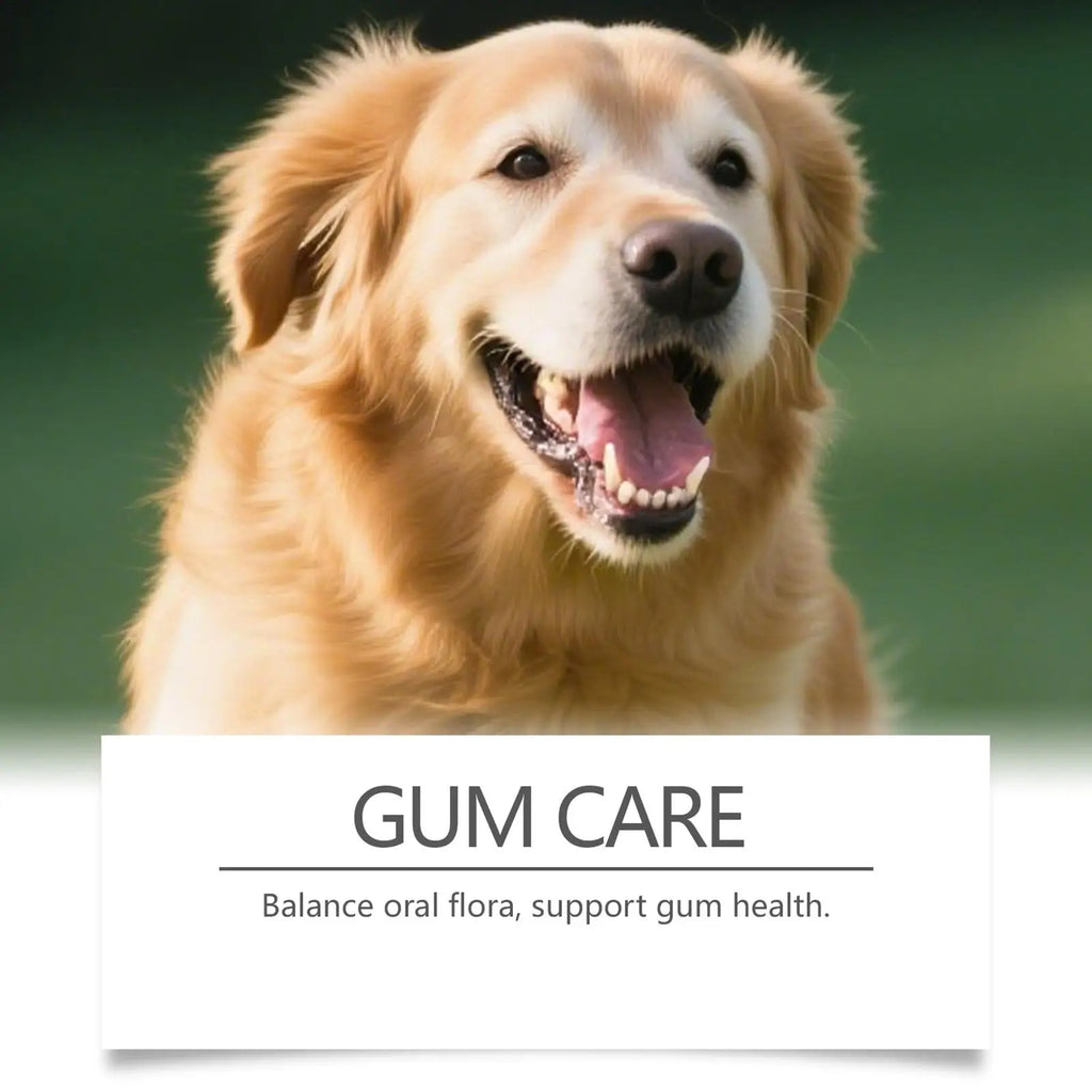 100g Home Dog Powder For Teeth Natural No Brushing Cleaner Pet Tooth Clean Powder For Dog For Puppy Kitten Small Large Breeds Vue