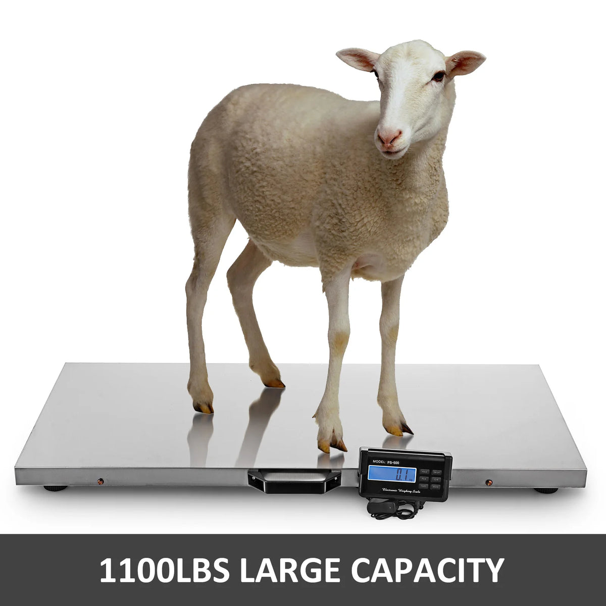Digital Livestock & Pet Scale 440–1100 lbs | Stainless Steel Digital Livestock Scale Vue