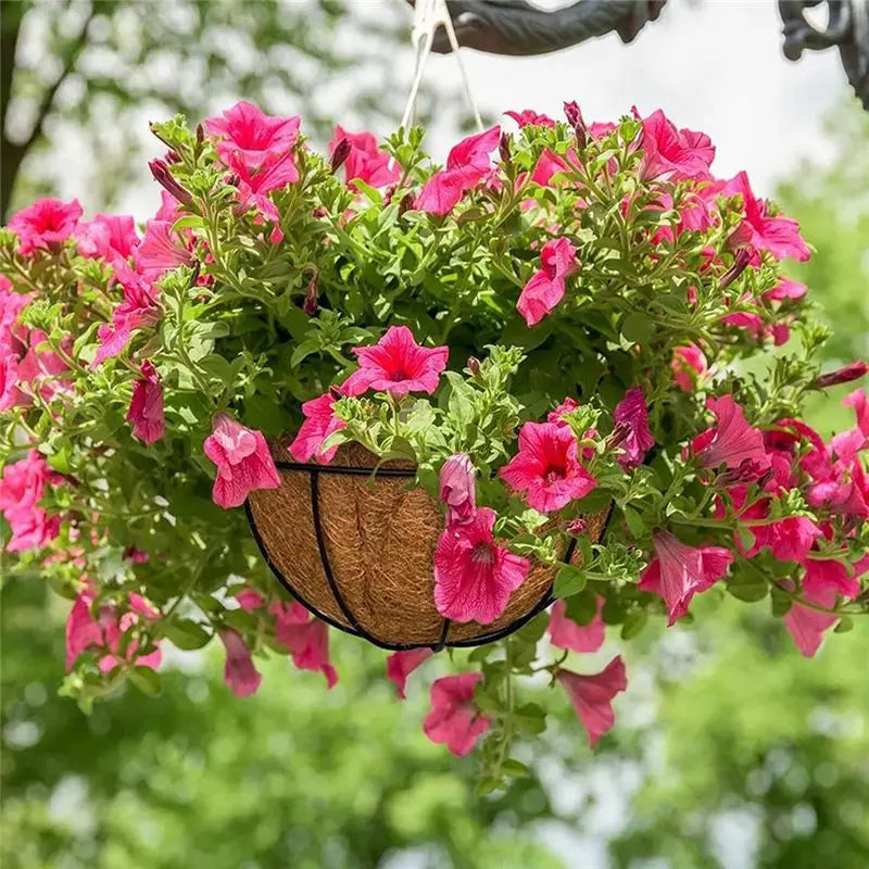 ABKW-3 Pcs Natural Coconut Fiber Basket Coconut Replacement Liner For Hanging Baskets Planters Flowers Vue