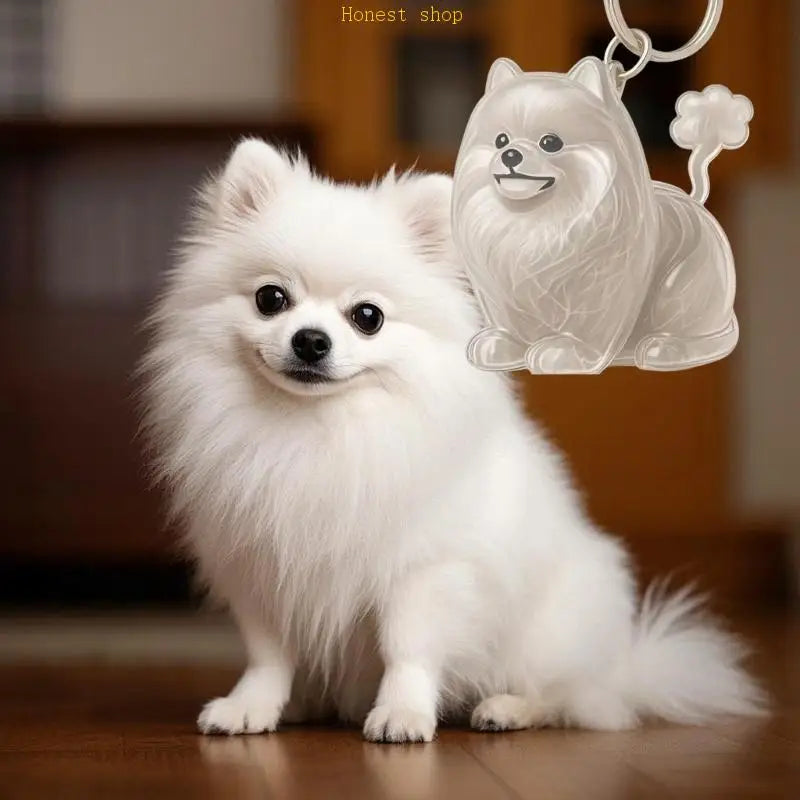 Clear Dog Fur Keepsake Pendant Charm | Pet Hair Collector Keychain Pet Keepsake Charm Vue