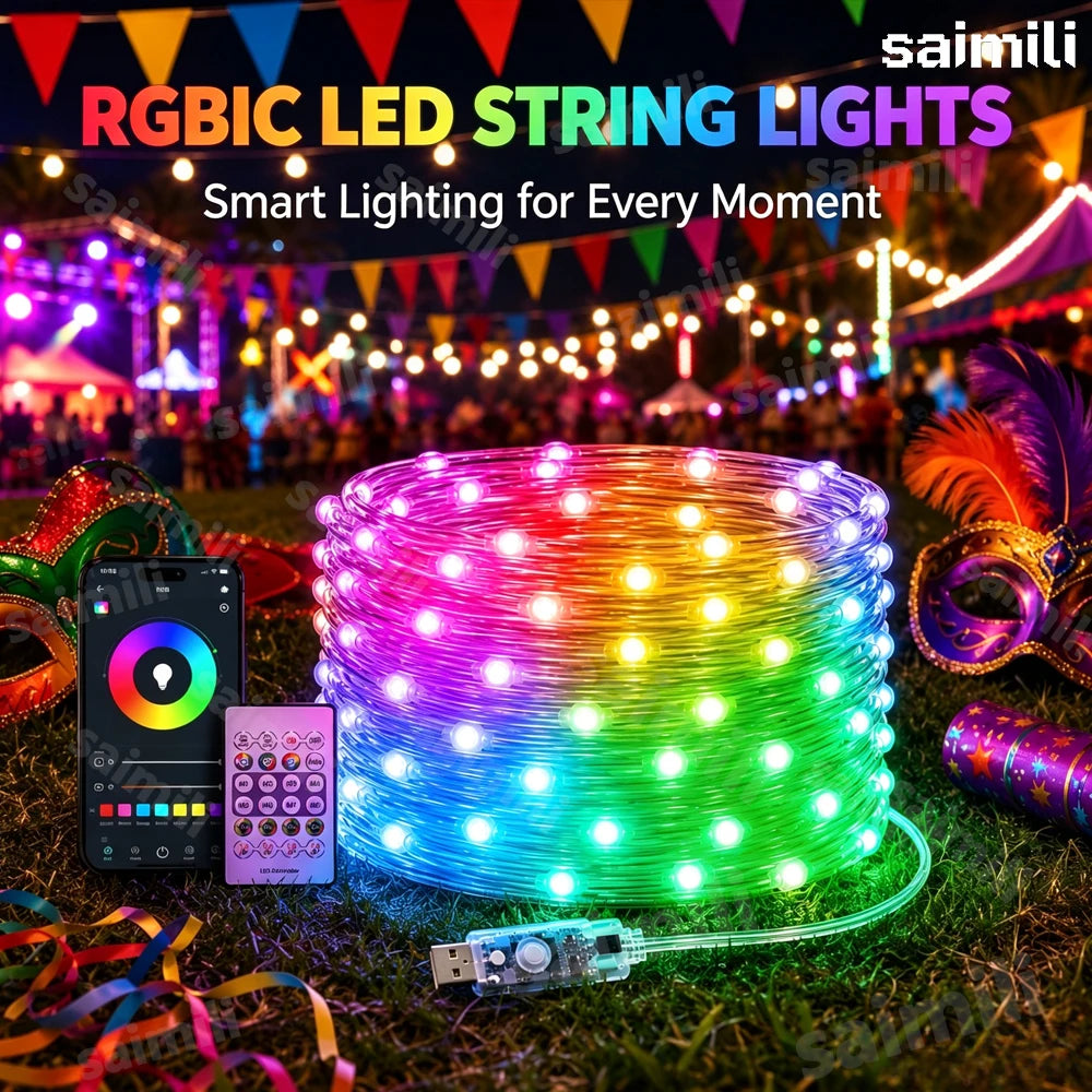 RGBIC Dream Color Addressable LED String Light WS2812B USB Bluetooth Remote Music Sync Waterproof Fairy Lamp For Christmas Decor Vue