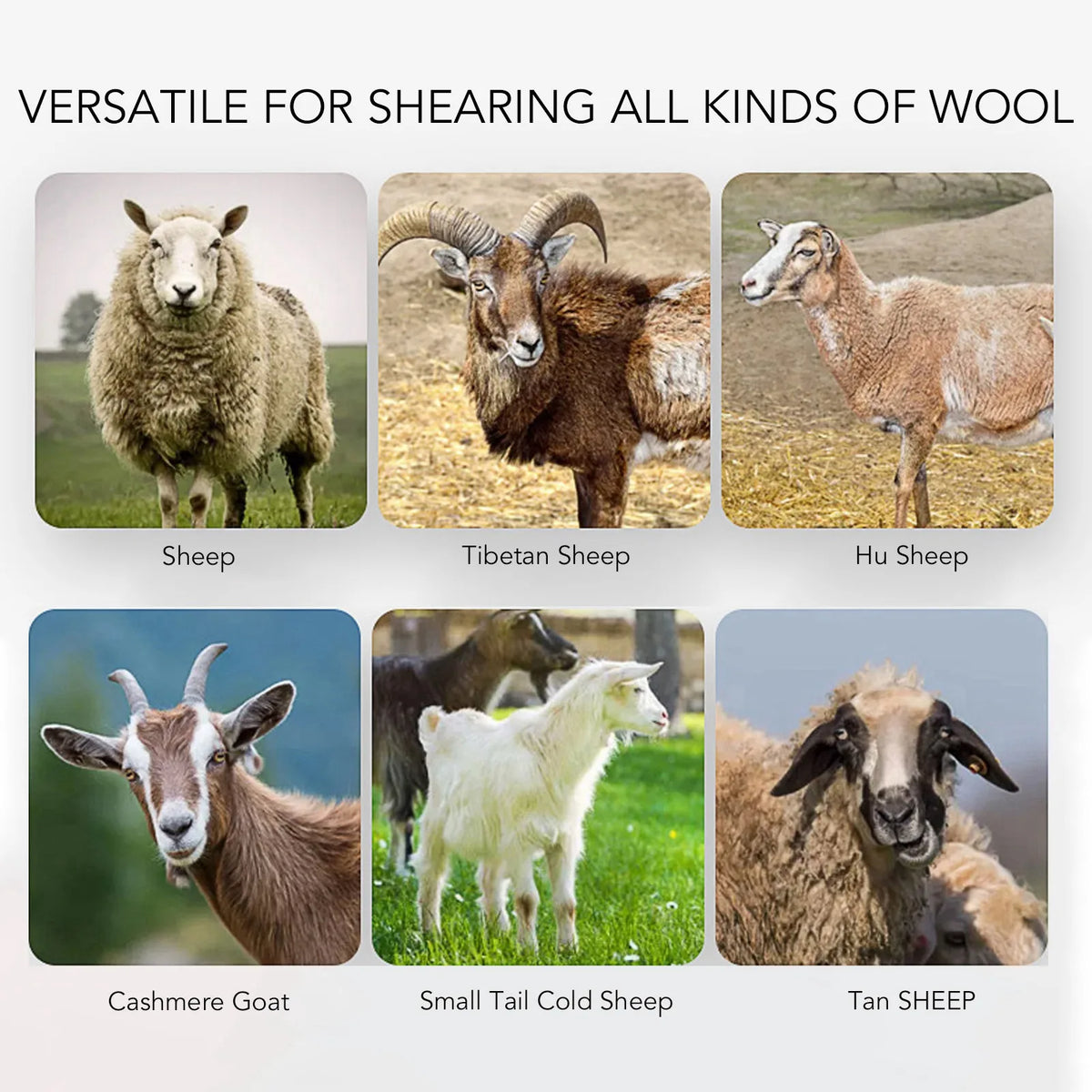 Farm Livestock Grooming Kit 1000W High Power Electric Sheep Clipper 13 Tooth Farm Livestock Shearing Grooming Machine Kit Vue