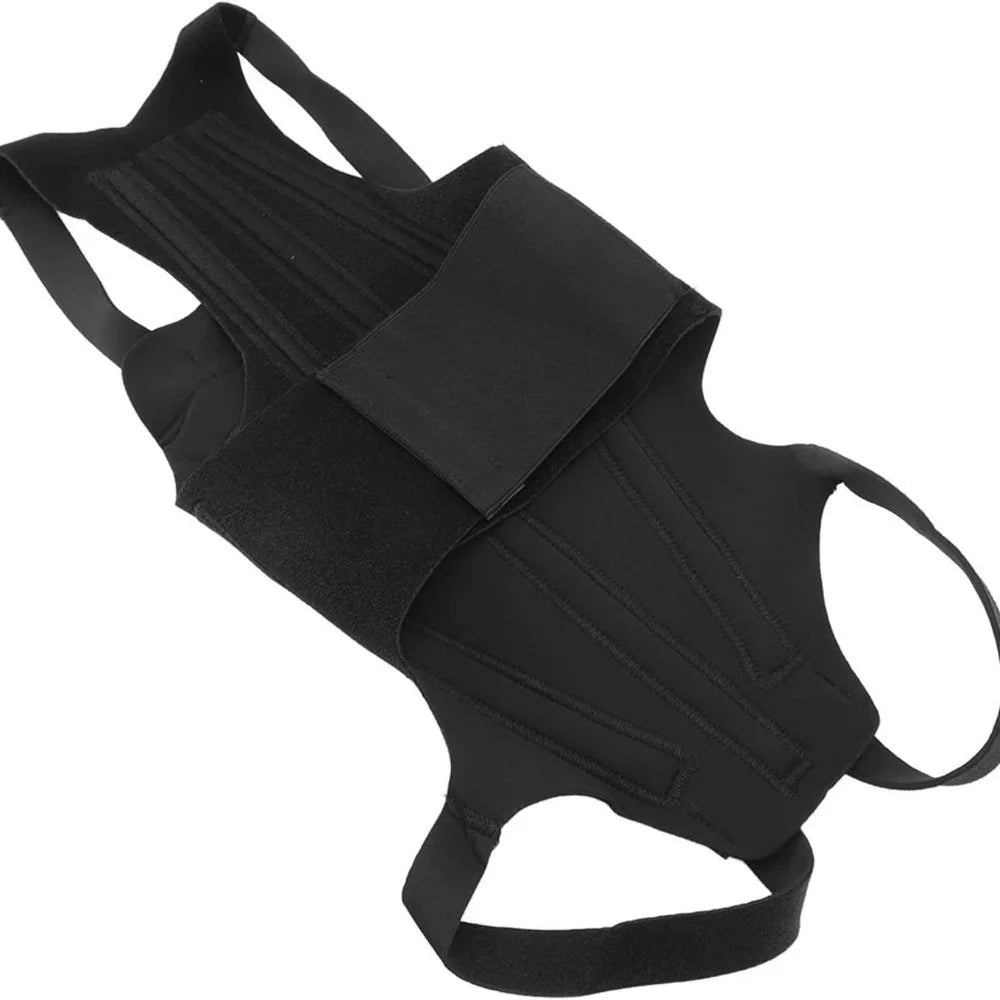 Adjustable Dog Back Support Vest Breathable Back Protector Pet Mobility Aid Comfortable Dog Back Brace Rehabilitation Vue Black S