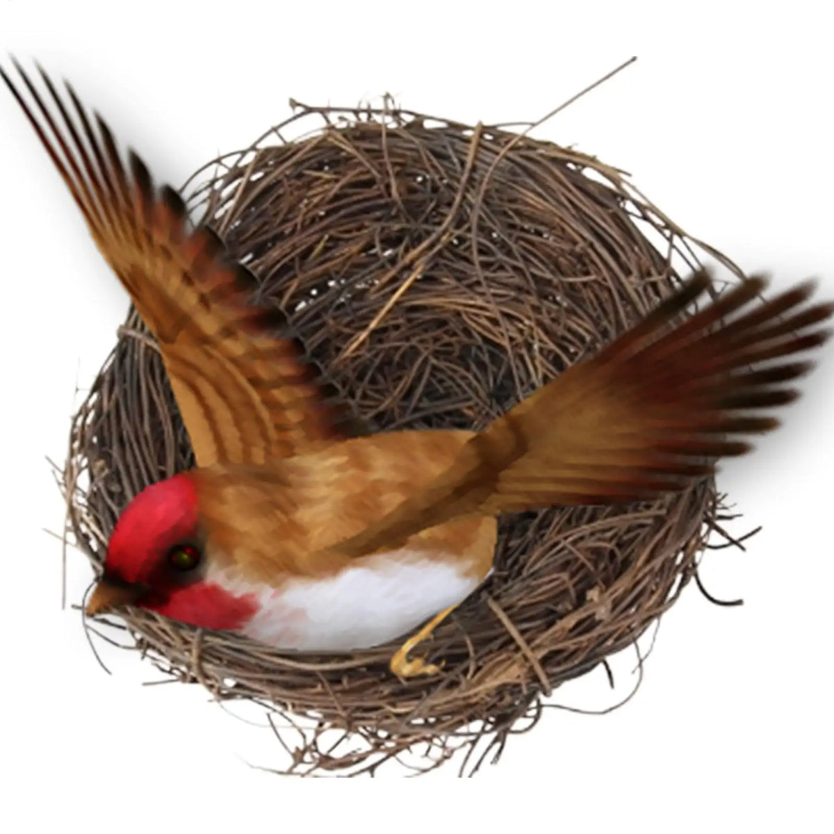 10cm Flat Base Bird Nest Handmade Woven Hatch House for Cage Small Animal Bed Accessories for Parakeet Canary Finch Lovebird Vue