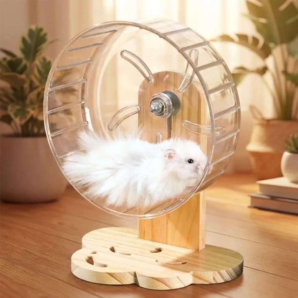 Transparent Hamster Exercise Wheel Adjustable Height Sturdy Silent Running Wheel Thickened Wooden Stand Pet Exercise Toy Vue