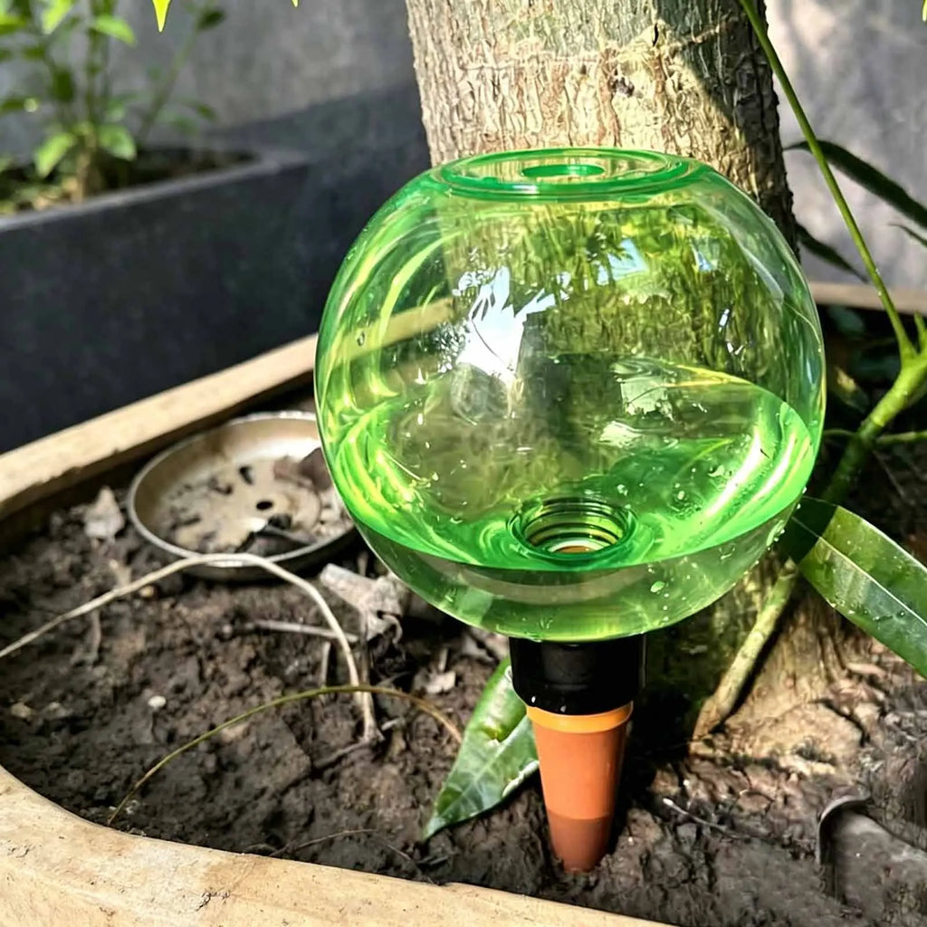 Automatic Self-Watering Globes 500ml Drip Irrigation – 1–4 Pack Self-Watering Globe Vue