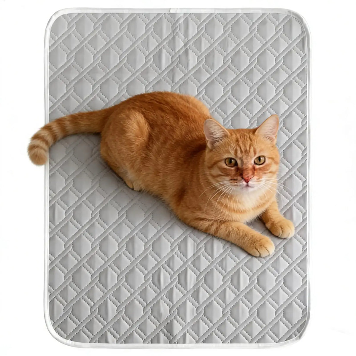Self Cooling Pad for Dog 45x35cm Sweat Absorbent Soft Sleeping Mat for Small Medium Large Dogs Kitten Crate Carrier Travel Pads Vue