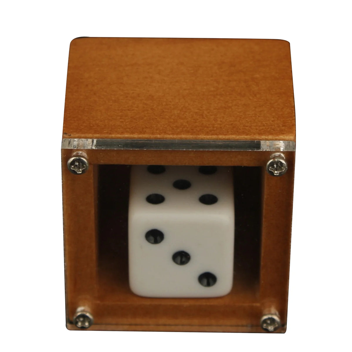 Magic Dice Magic Props Dice Trick Dot Number Change Dice Magic Stage Illusion Props Toys For Kids Adults Vue