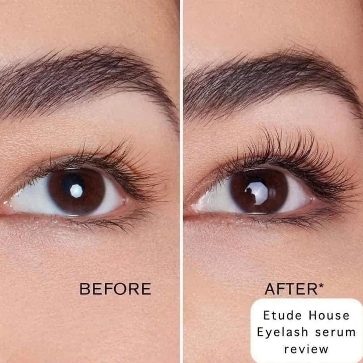 ETUDE My Lash Serum,Eyelash Health Care & Nourishing,Gentle & Non-Irritating,Natural Eyelash Care,Korean Cosmetic,Korean Makeup Vue