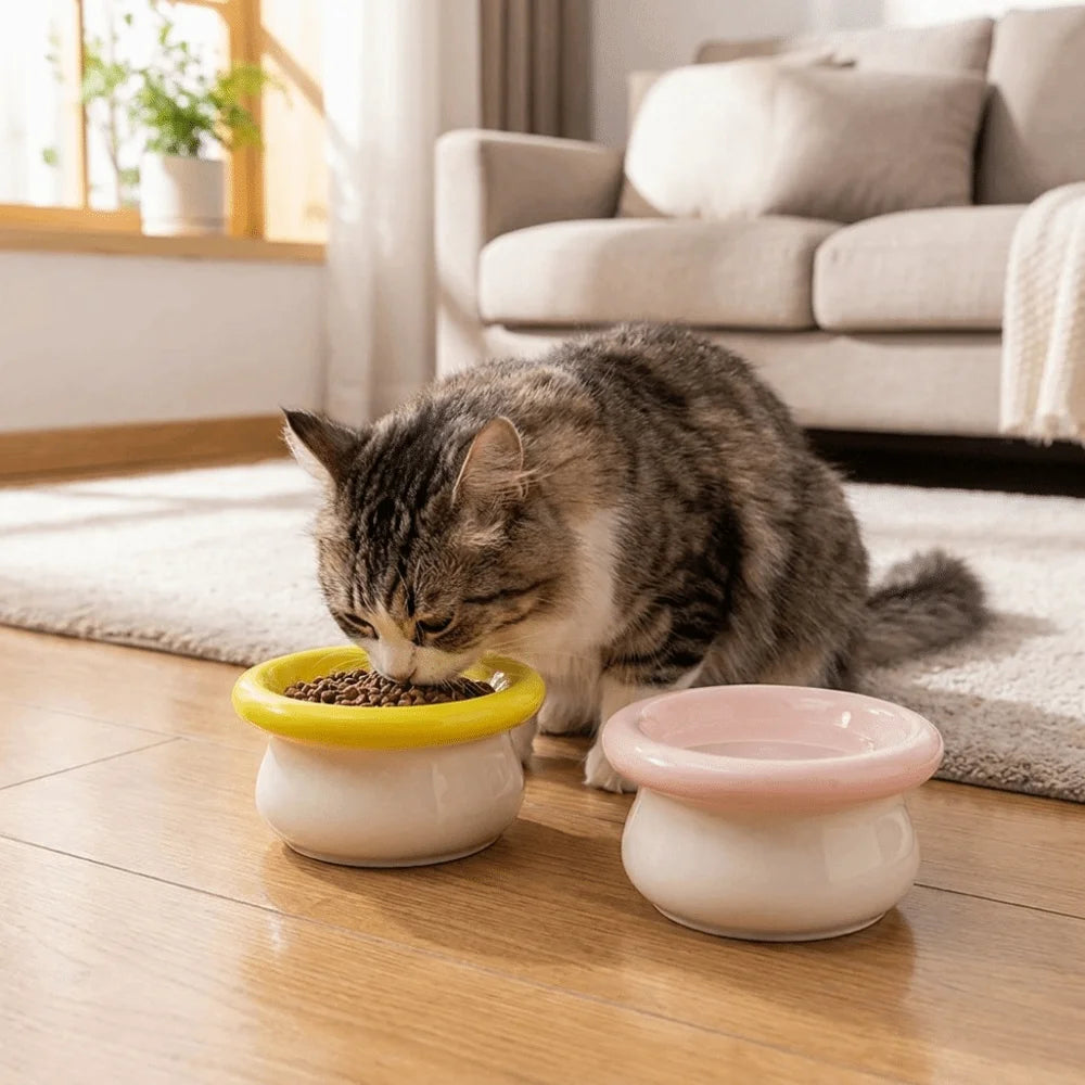 Ceramic Pet High Foot Bowl Large Capacity Neck Protection Cat Elevated Bowl Flat Mouth Non-slip Pet Food Bowl for Feeding Vue