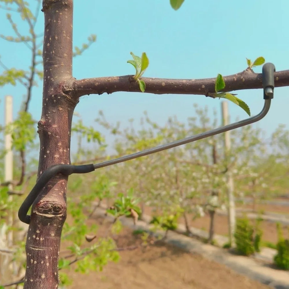 10Pcs Anti-Slip Metal Limb Spreaders High-Strength with Protective Sleeve Fruit Tree Branch Puller Heavy-Duty Plant Support Tool Vue