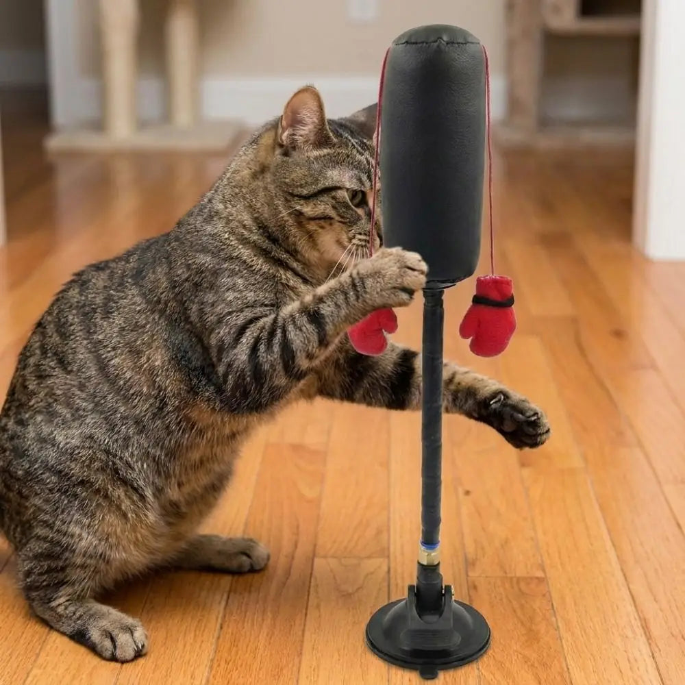 Suction Cup Cat Boxing Toy Scratch Trainer Bite Resistant Interactive Cat Toy Scratch Resistant Self-standing Cat Boxing Game Vue