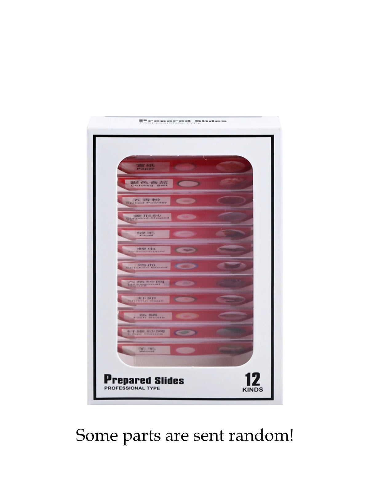 12Pcs Microscope Slides Toys, Plastic Biological Prepared Slide with Specimens Science Education for Kids Vue Red