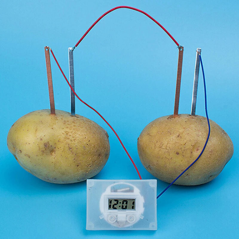 Children Bio Energy Science Kit Fun Potato Electricity Experiment Toys Educational Science Learning Set Vue