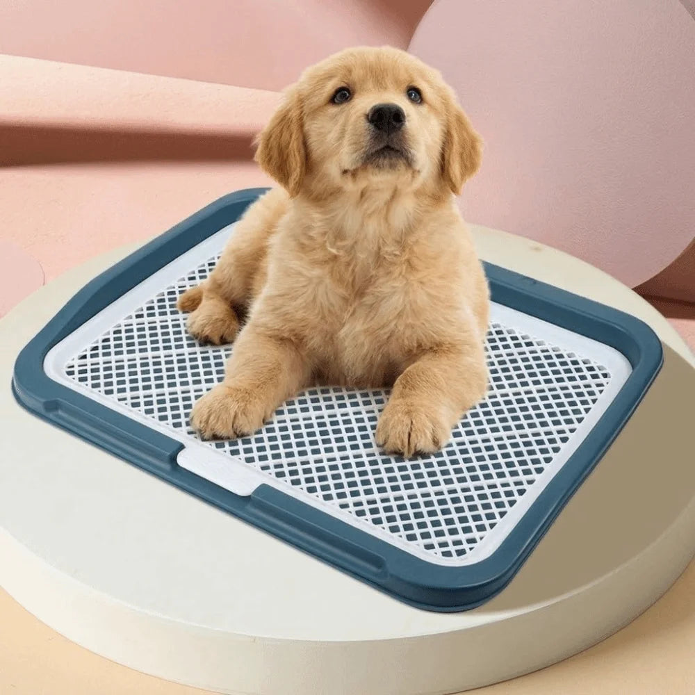 Pet Supplies Easy Clean Puppy Potty Training Tray Detachable Leak Proof Dog Toilet Tray Reusable Mesh Pet Potty Pads Indoor Vue