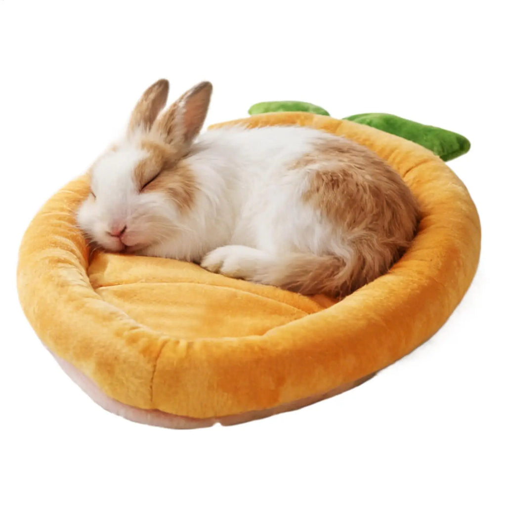Soft Small Animal Sleeping Mat, Comfortable Pet Bed for Chinchilla Guinea Pig Hedgehog, Portable Cushion for Indoor Outdoor Home Vue