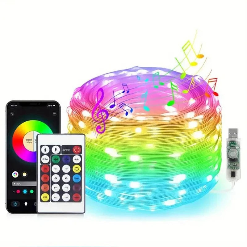 5/10/20M RGBIC USB LED Sting Light Bluetooth Music APP Programmable DIY Fairy Lights Birthday Party Garland Christmas Decor Vue RGB None 5M