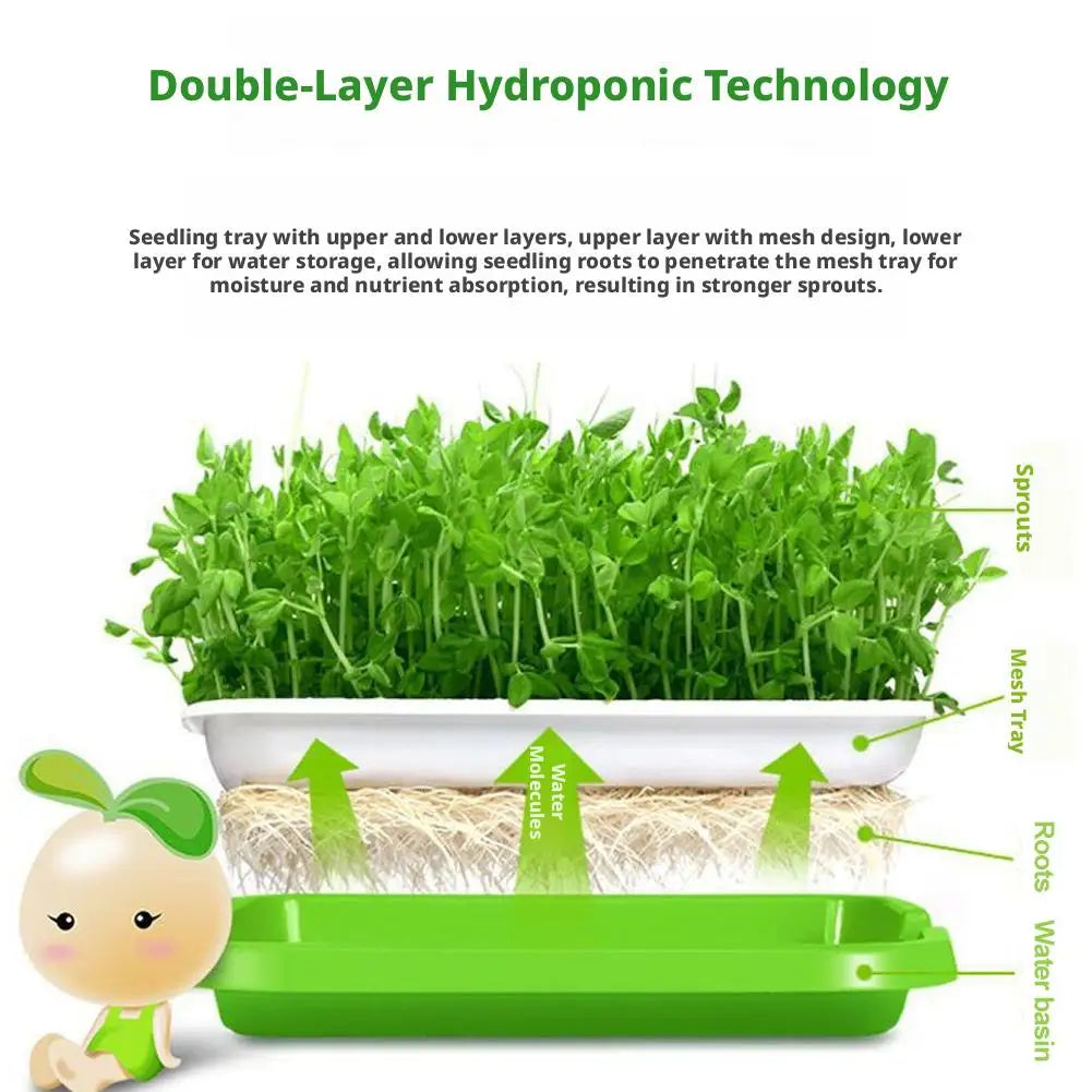 Hydroponic Microgreens Sprouter Tray Seed Sprouting Plates Wheatgrass Grower Nursery Trays for Home Garden Soilless System Vue