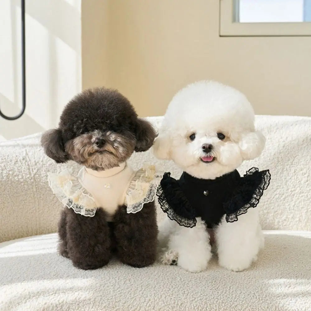 Comfortable Lace Pet Summer Vest Soft Breathable Cat Base Skirt Flying Sleeve Dog Clothes Small Animal Vue