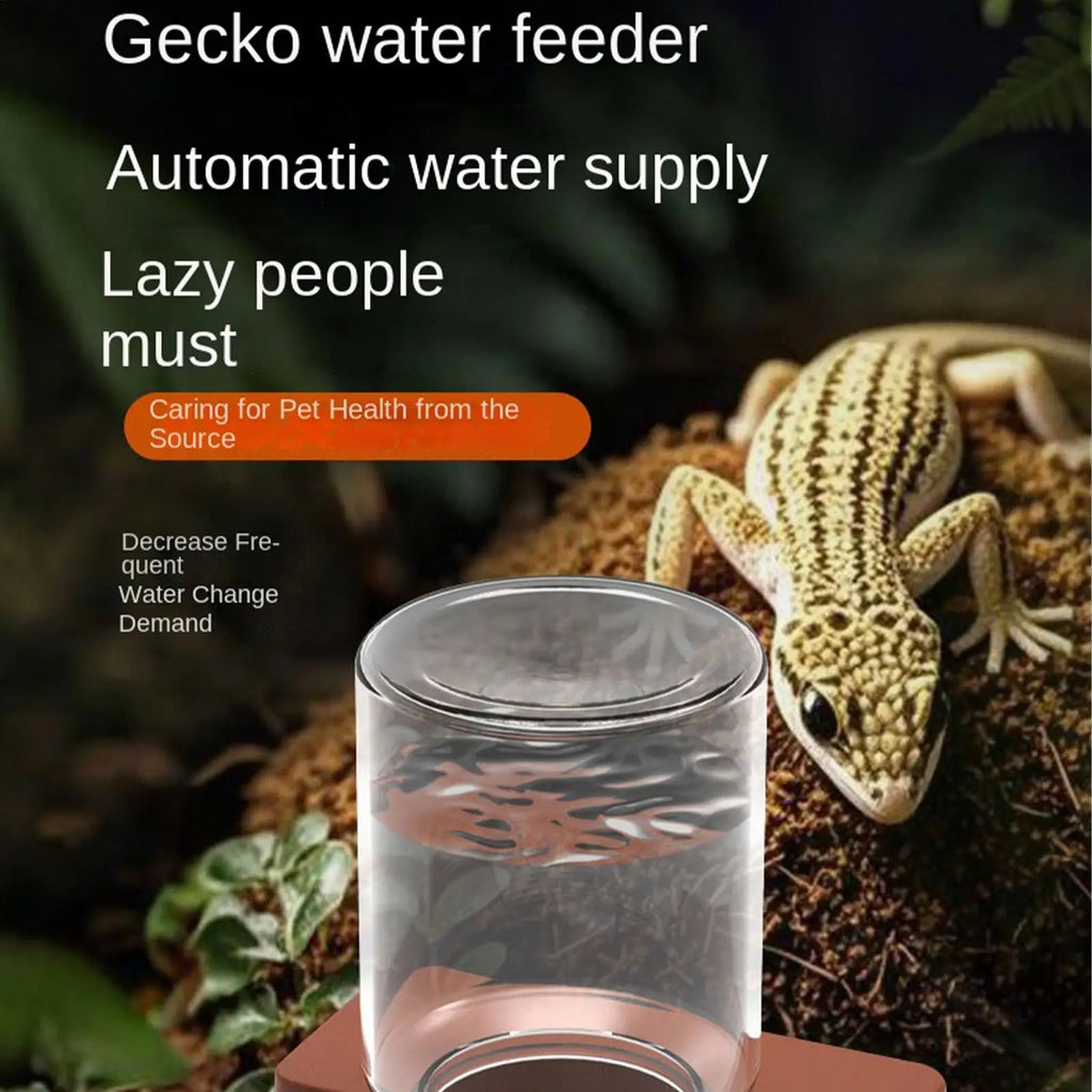 Automatic Gravity Water Dispenser Reptile Feeder Detachable Bowl for Lizard Snake Tortoise Chameleon Gecko No Electricity Vue