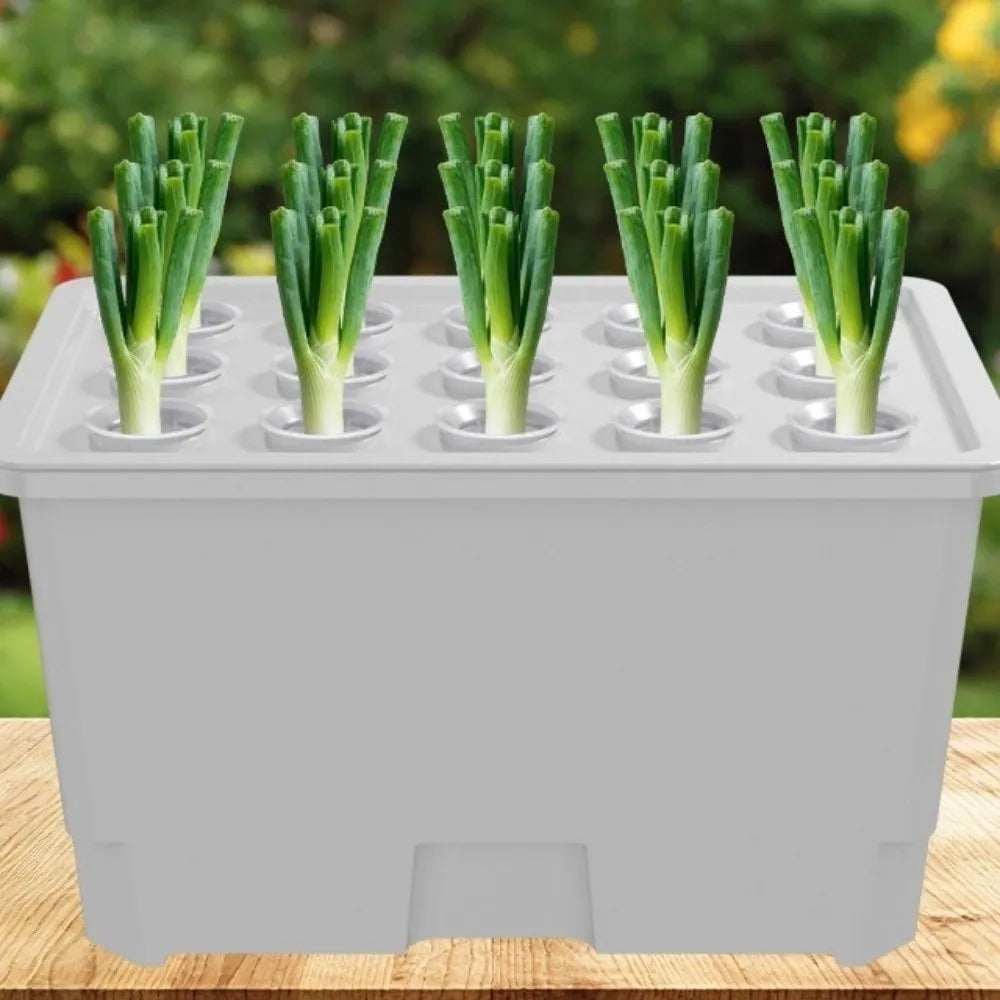 Split Design Hydroponic Box Thicken Nursery Pots Soil-Free Planting Box Plastic Planting Container Balcony Gardening Vue