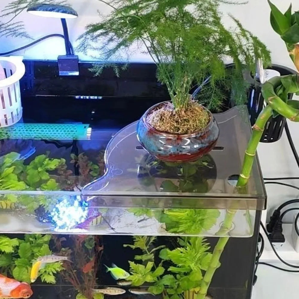 Transparent Aquarium Corner Shelf Plastic Triangle Fish Tank Storage Rack Space Saving Drain Aquarium Landscape Stand Water Tank Vue