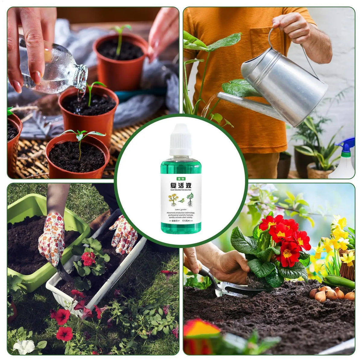 50ml Plant Root Stimulator, Liquid Fertilizer Nutrient Solution for Faster Growth, Indoor Outdoor Root Booster for Home Garden Vue