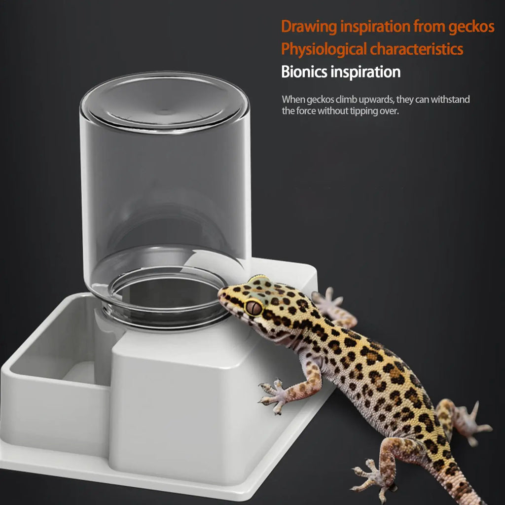 Automatic Gravity Water Dispenser Reptile Feeder Detachable Bowl for Lizard Snake Tortoise Chameleon Gecko No Electricity Vue