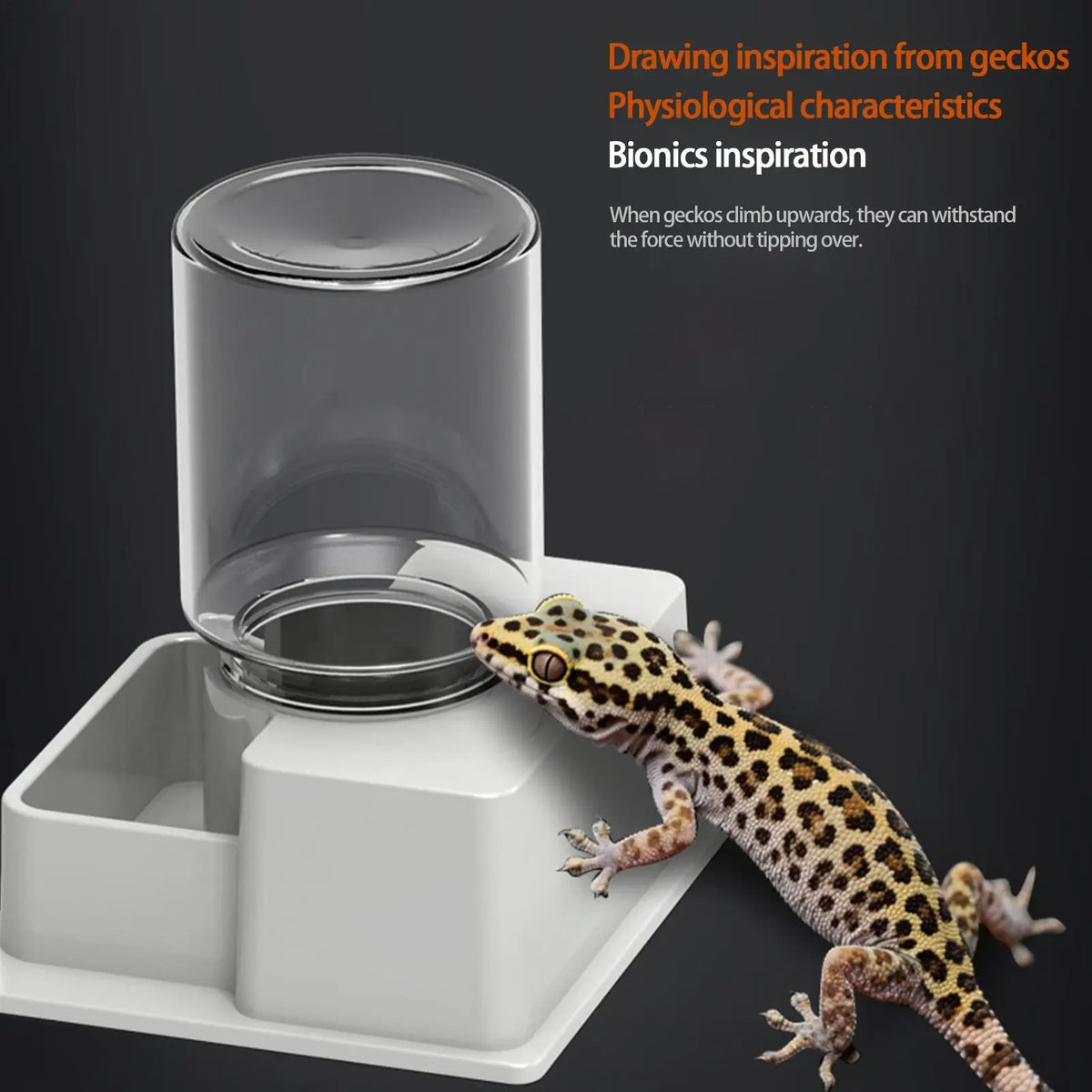 Automatic Gravity Water Dispenser Reptile Feeder Detachable Bowl for Lizard Snake Tortoise Chameleon Gecko No Electricity Vue