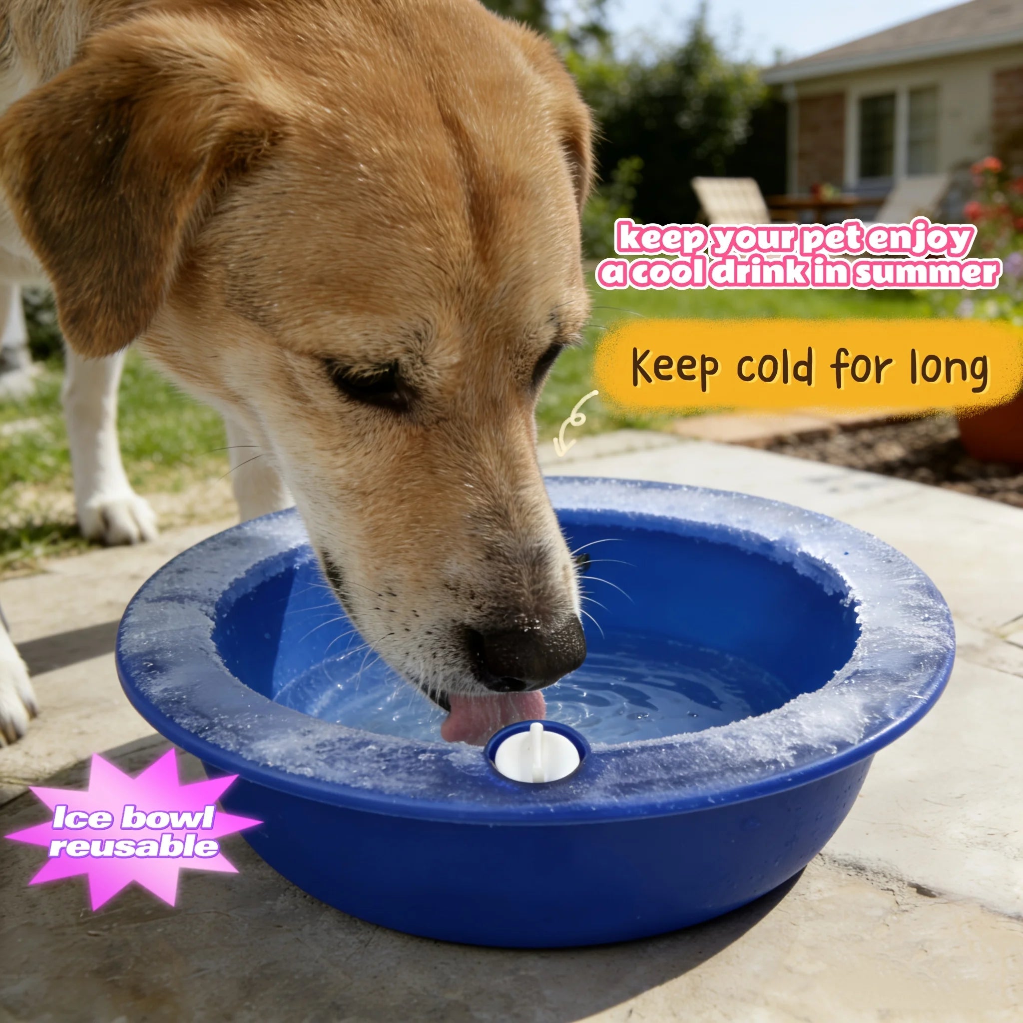 Pet Ice Bowl Cold Feeder Fill Freeze Long-lasting Cool Perfect Cats
