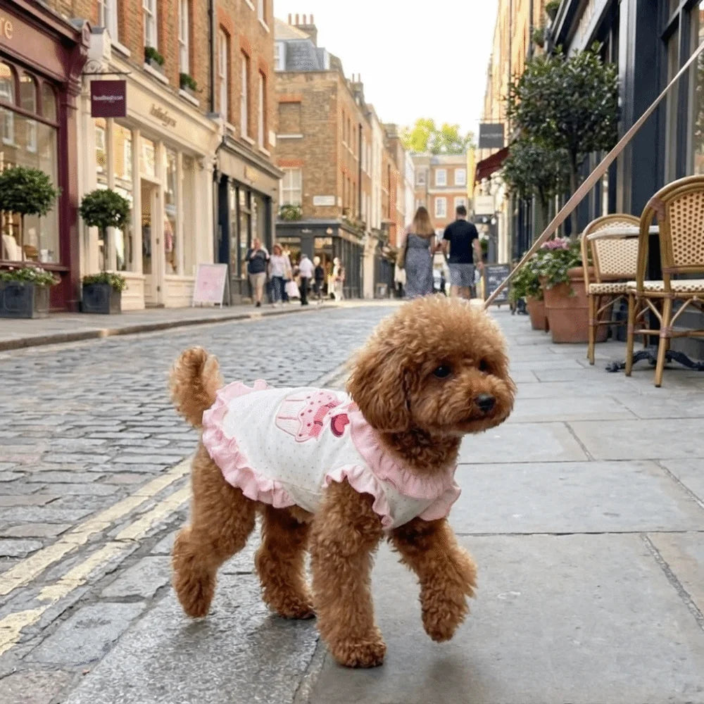 Elegant Cake Embroidery Pet Dress Shirt Ruffles Design Cute Dog Sundress Breathable Comfortable Dog Vest Outdoor Vue