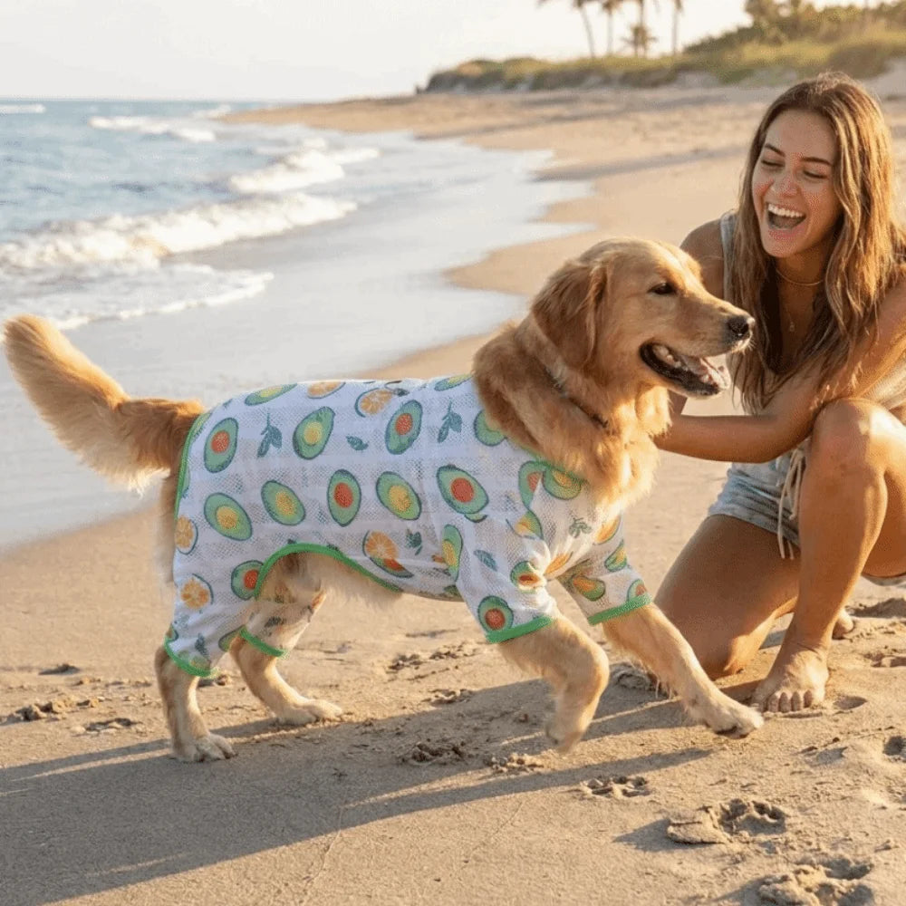 Cute Thin Breathable Pet Cooling Jumpsuit Mesh Fruit Pattern Pet Four Legged Clothes Comfortable Dog Sunscreen Clothing Outdoor Vue