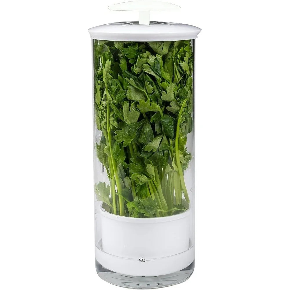 Transparent Longer Fresh Herb Keeper Dust-proof Water Plantin Herb Saver Anti-pressure Environmental Vue
