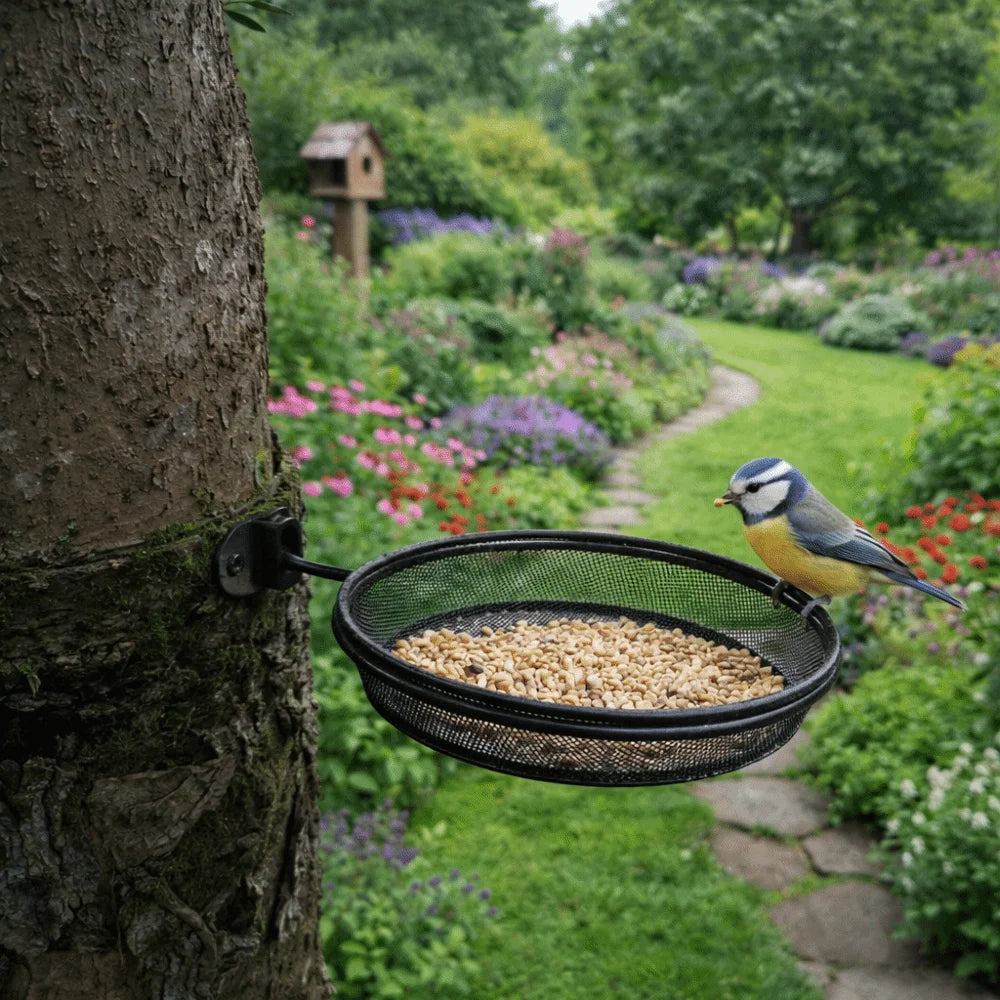 Wall Mounted Outdoor Bird Feeder Detachable Metal Mesh Bird Feeding Tray Round Large Capacity Feeding Station Balcony Vue