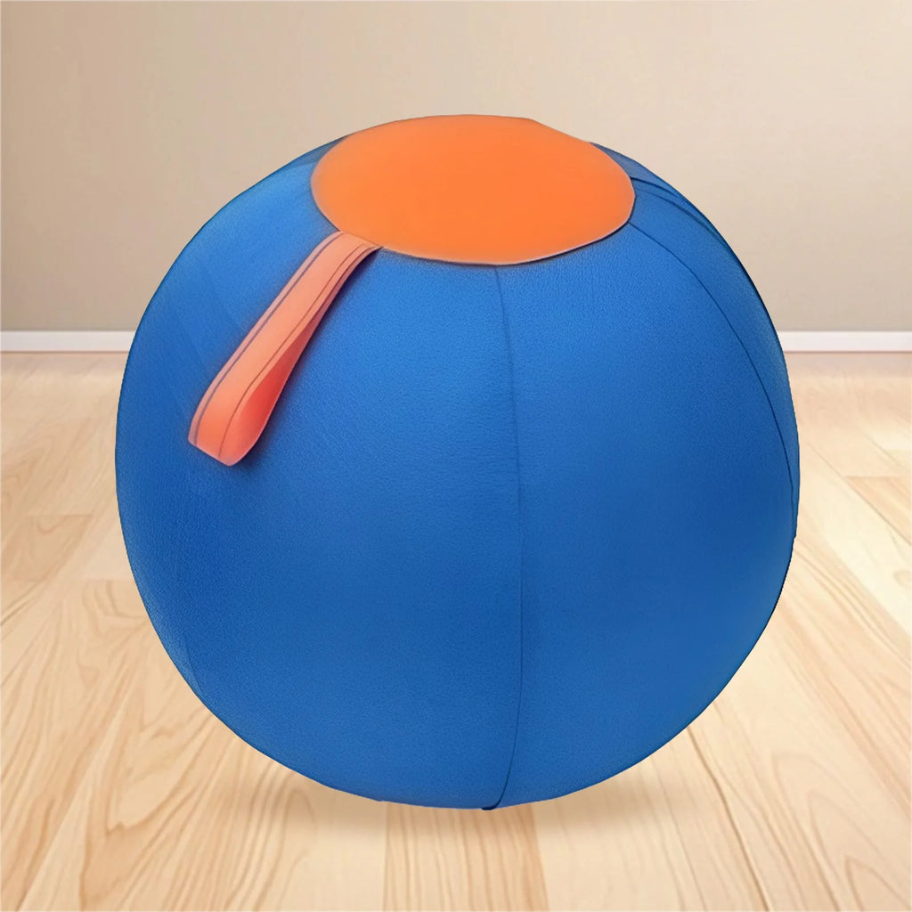 Dog Herding Ball – Tear-Resistant Inflatable Toy with Pump Inflatable Dog Toy Vue