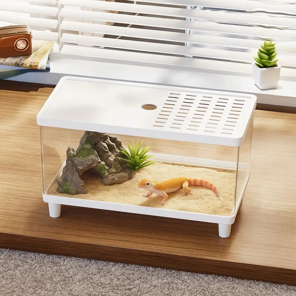 Multifunctional Transparent Reptile Terrarium Visual Breathable Lizard Breeding Box with Cover Reptile Habitat Amphibians Vue