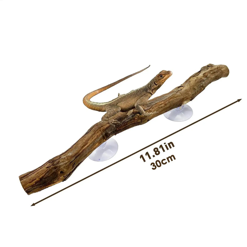 Snake Climbing Branch Unique Snake Climbing Decor Natural Non-slip Habitat Decorations Reptile Decor for Bearded Dragon Snake Vue