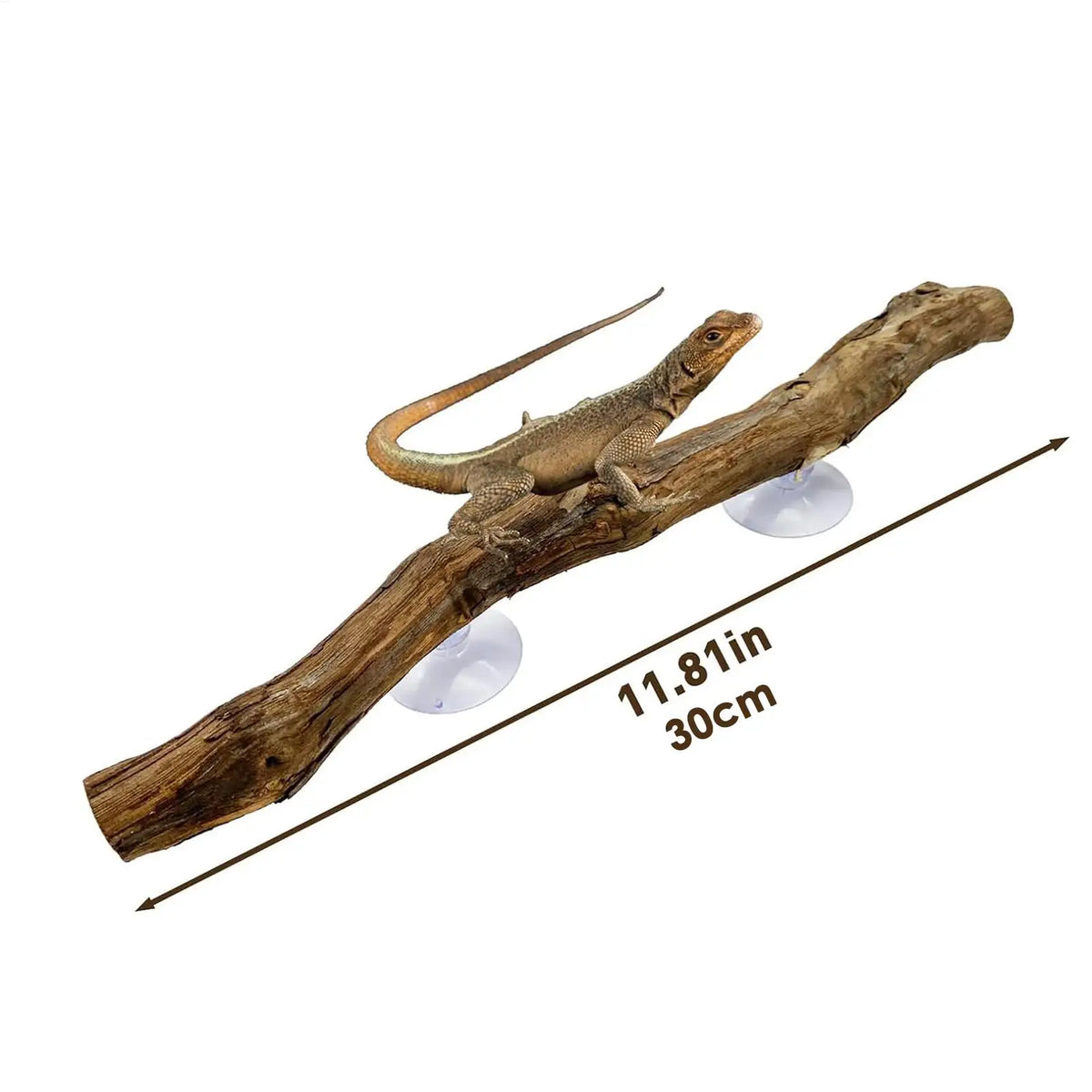 Snake Climbing Branch Unique Snake Climbing Decor Natural Non-slip Habitat Decorations Reptile Decor for Bearded Dragon Snake Vue