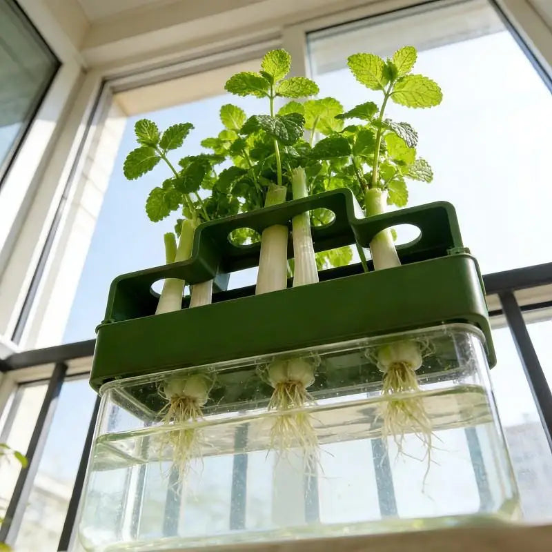 Green Onion Hydroponic Planter Water Efficient Cultivation System for Home Office Balcony Fresh Herb Growing Vue