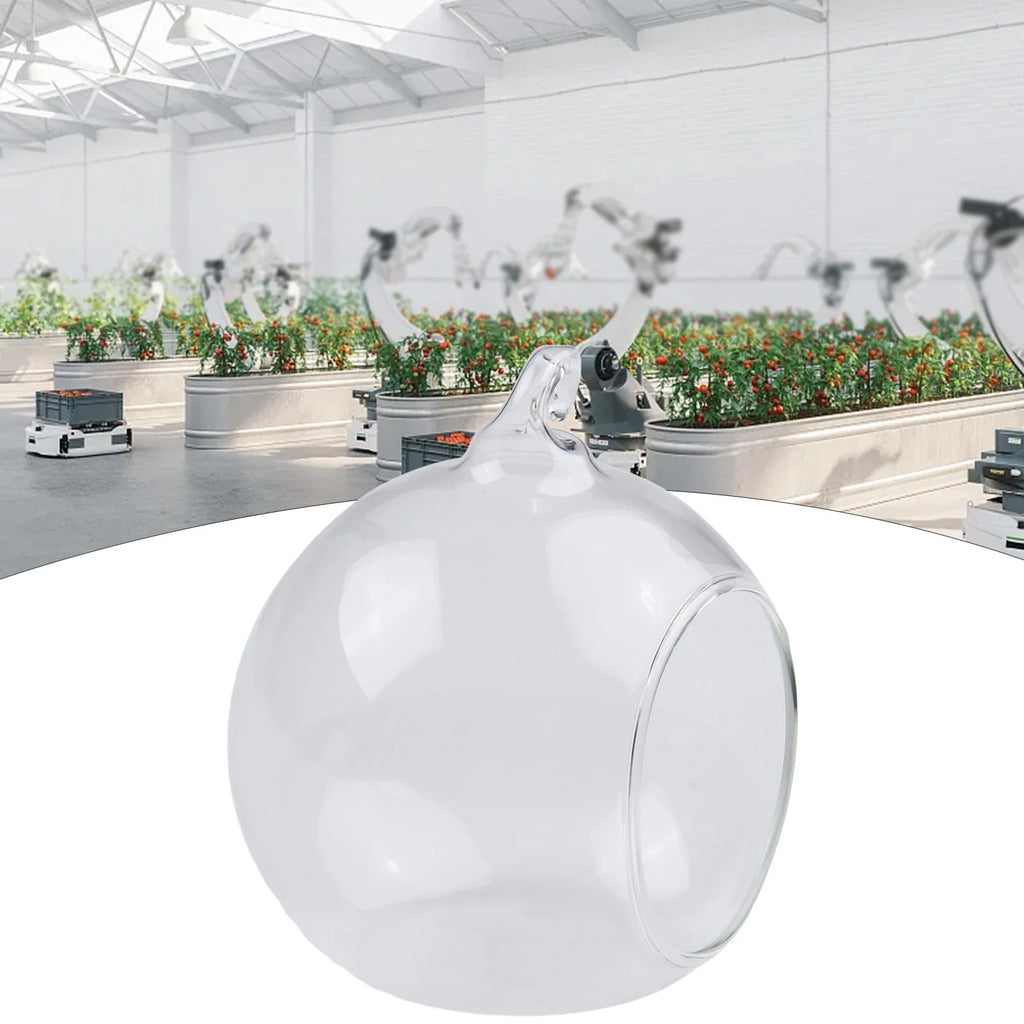 Brand New Garden Home Glass Ball Hanging Vase Succulent Tabletop Tealights Terrarium Celebration Decoration Plant Vue
