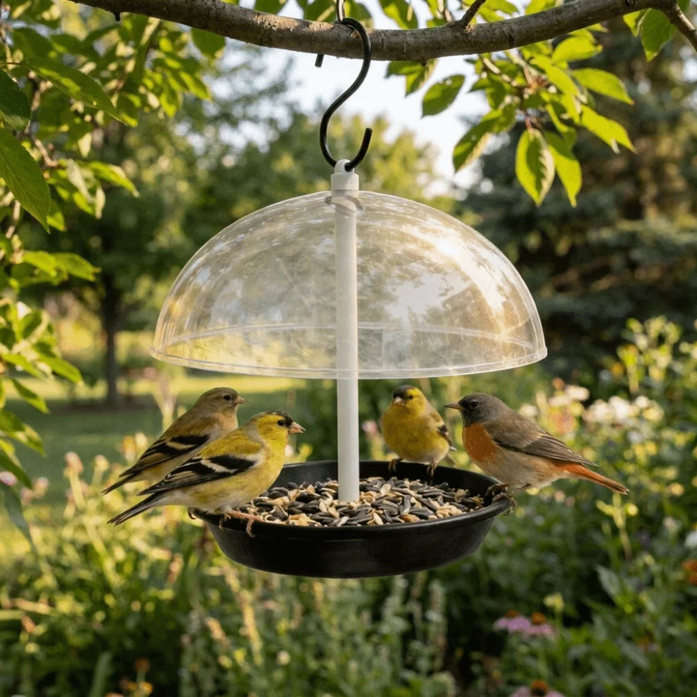 Waterproof Hanging Wild Bird Feeder Clear Dome Rainproof Bird Feeding Station Decorative with Hook Hummingbird Feeder Vue