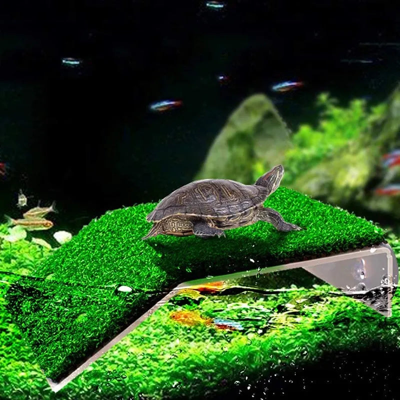 Aquarium Lawn Turtle Sun Terrace Turtle Climbing Platform Reptile Basking Resting Terrace Simulation Grass Turtle Ramp terrario Vue