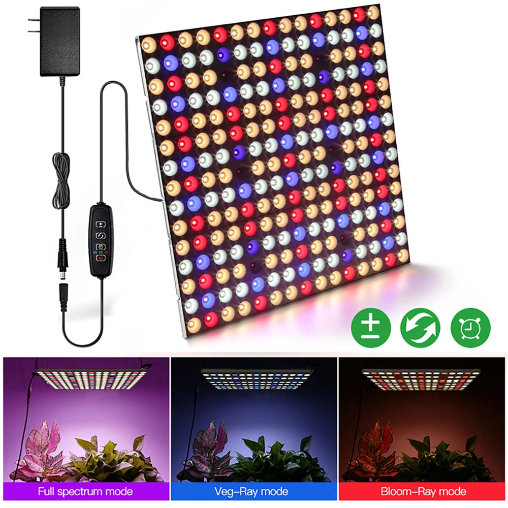 Dimmable LED Grow Light Full Spectrum 300W with Dimmer Timer for Indoor Tent Garden Hydroponics Seedling Veg Bloom Plant Lamp Vue 300W AU