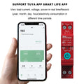 Tuya WiFi Smart Circuit Breaker Reclosing Energy Meter KWH Monitoring Timer Relay Din Rail Switch Automatic Reclosure Protector Vue Default Title