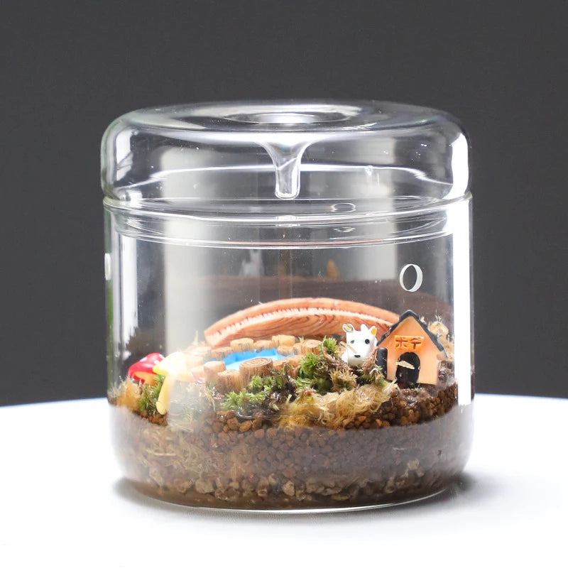 Multi-size Glass Bottle Creativity Dew Collection Glass Vase Micro Landscape Succulent Moss Landscape Glass Terrarium Home Decor Vue