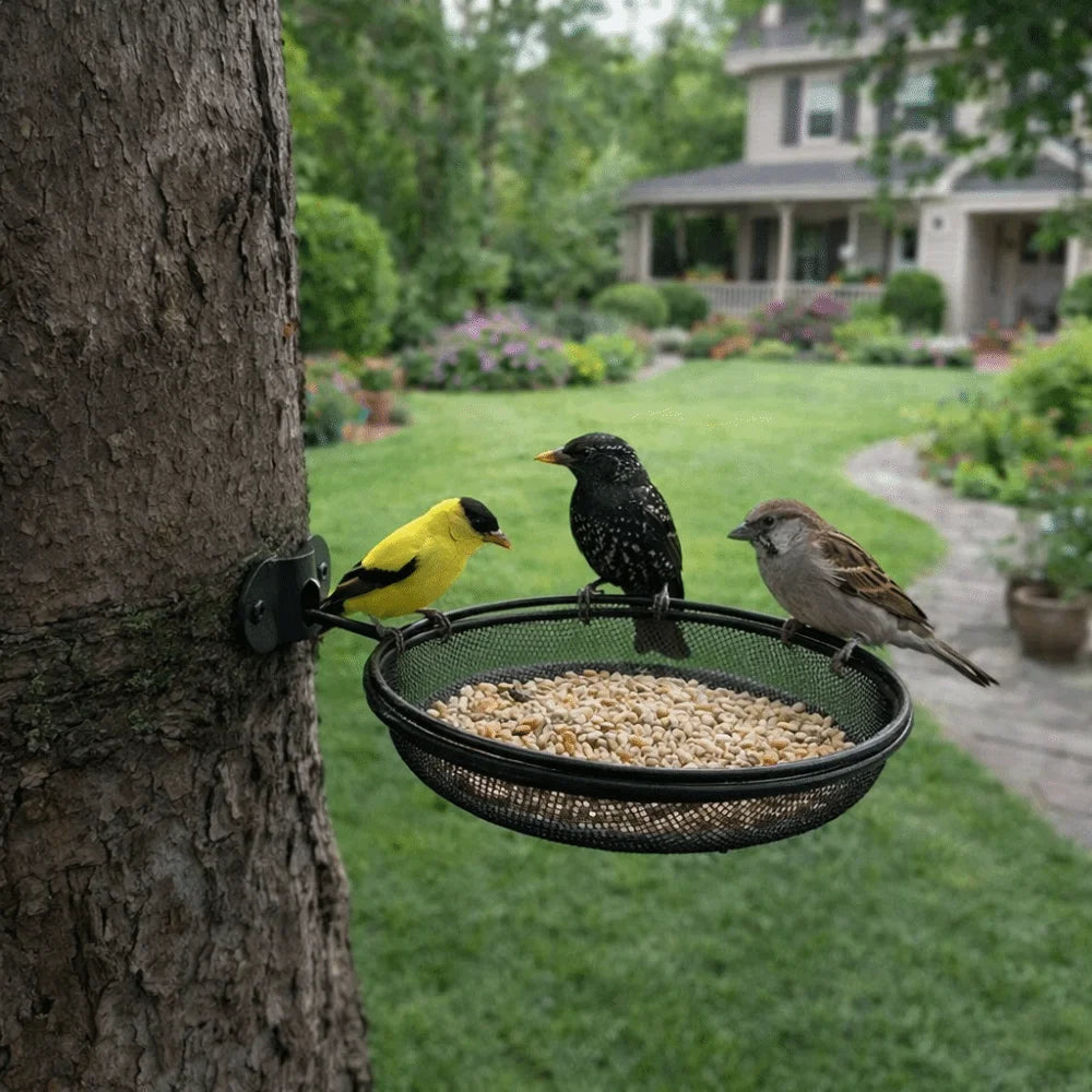Wall Mounted Outdoor Bird Feeder Detachable Metal Mesh Bird Feeding Tray Round Large Capacity Feeding Station Balcony Vue