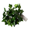 1 Pack Realistic Greenery Vines with 20 LED String Lights Indoor Outdoor Decor for New Year Wall Home Room Office Birthday Party Vue 2M6.56Ft. 20LED