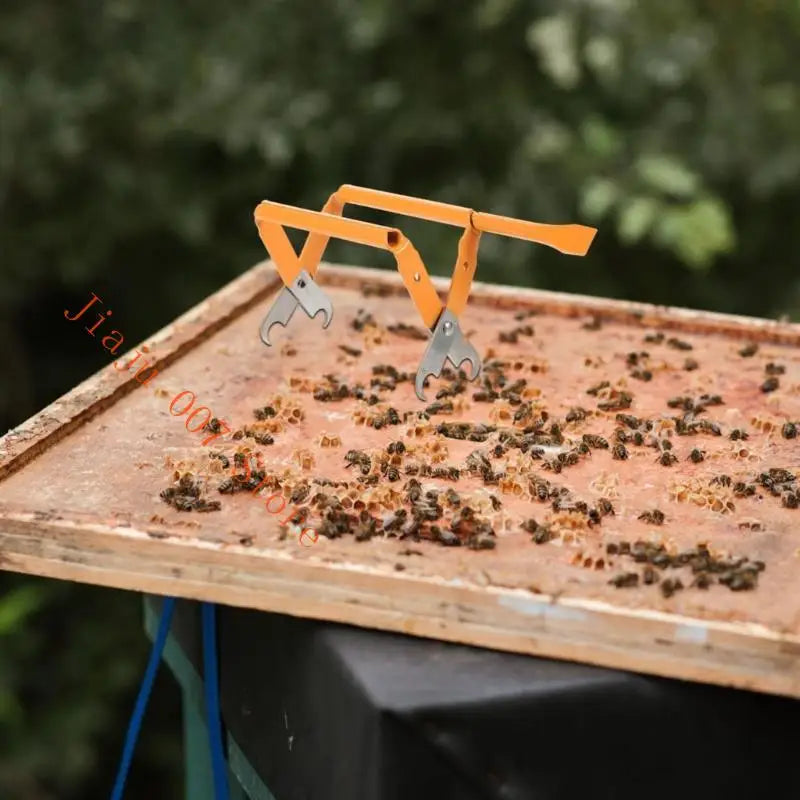 Stainless Steel Bee Frame Clip & Hive Transfer Tool | Beekeeping Beekeeping Frame Clip Vue