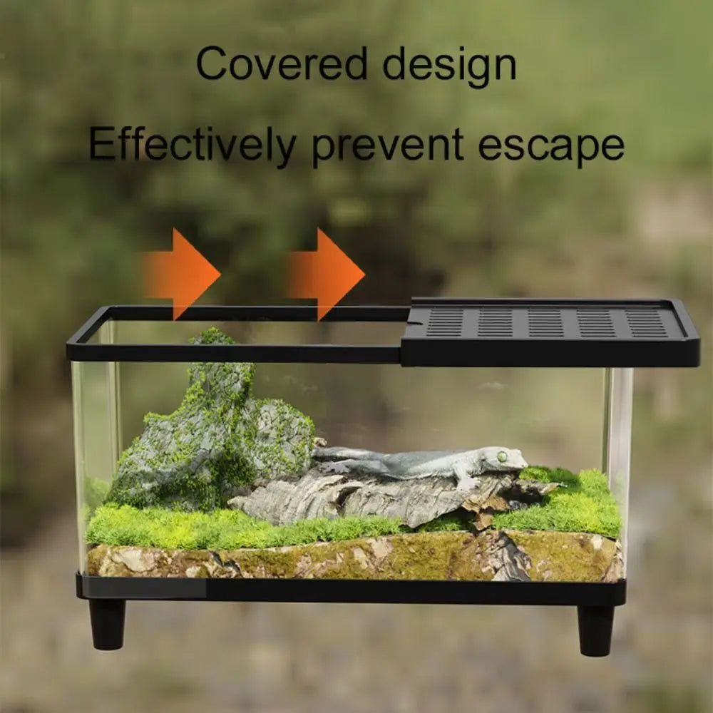 Multifunctional Transparent Reptile Terrarium Visual Breathable Lizard Breeding Box with Cover Reptile Habitat Amphibians Vue