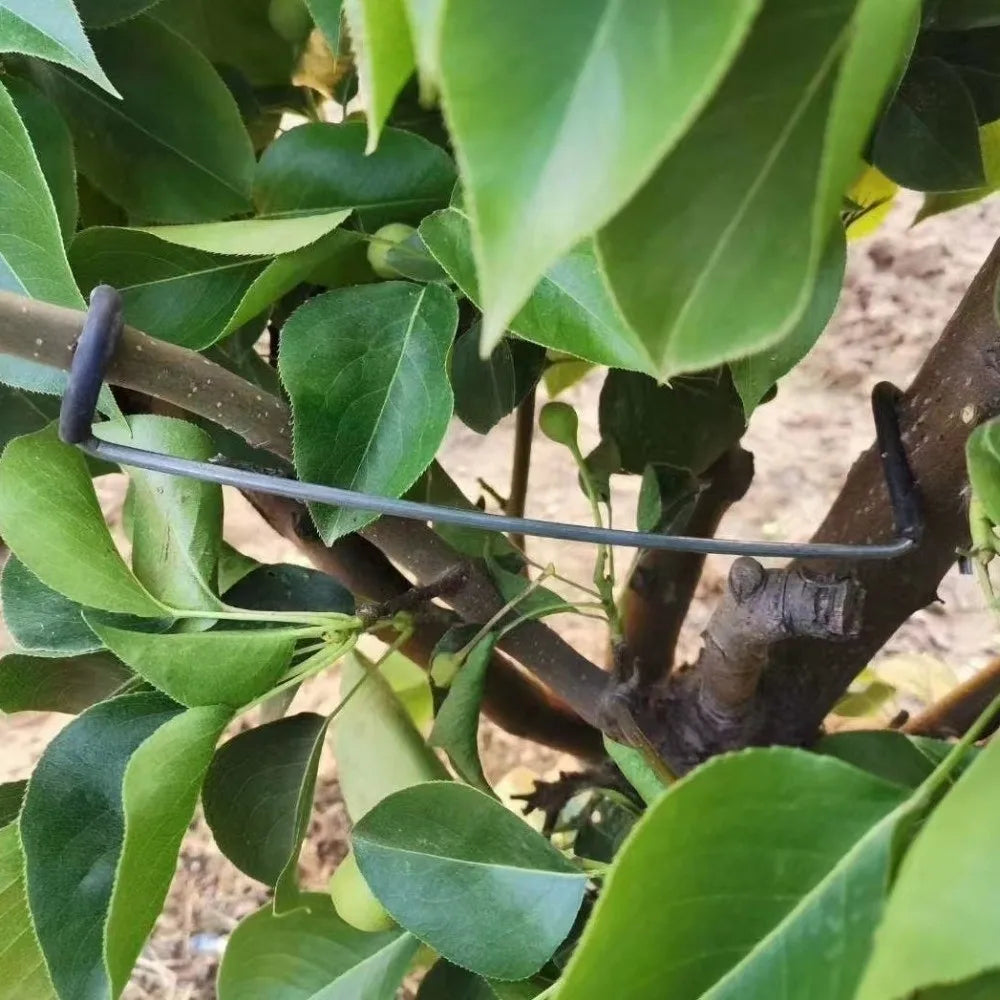 10Pcs Anti-Slip Metal Limb Spreaders High-Strength with Protective Sleeve Fruit Tree Branch Puller Heavy-Duty Plant Support Tool Vue
